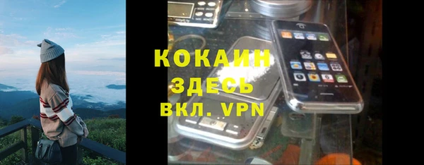 mix Белокуриха
